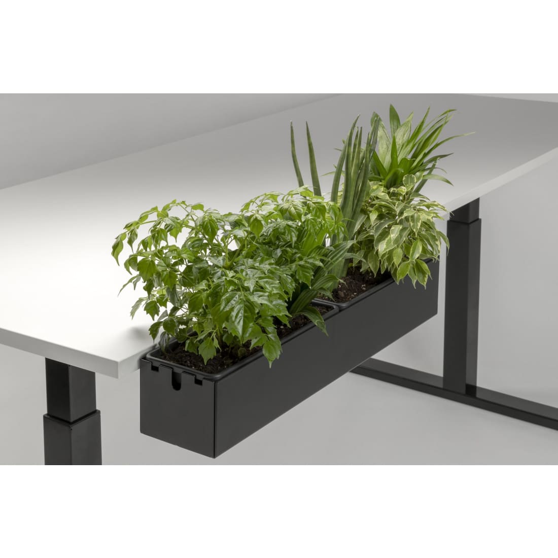 Multibox Large Opberger Inclusief plantenbak 10 x60 x12 cm