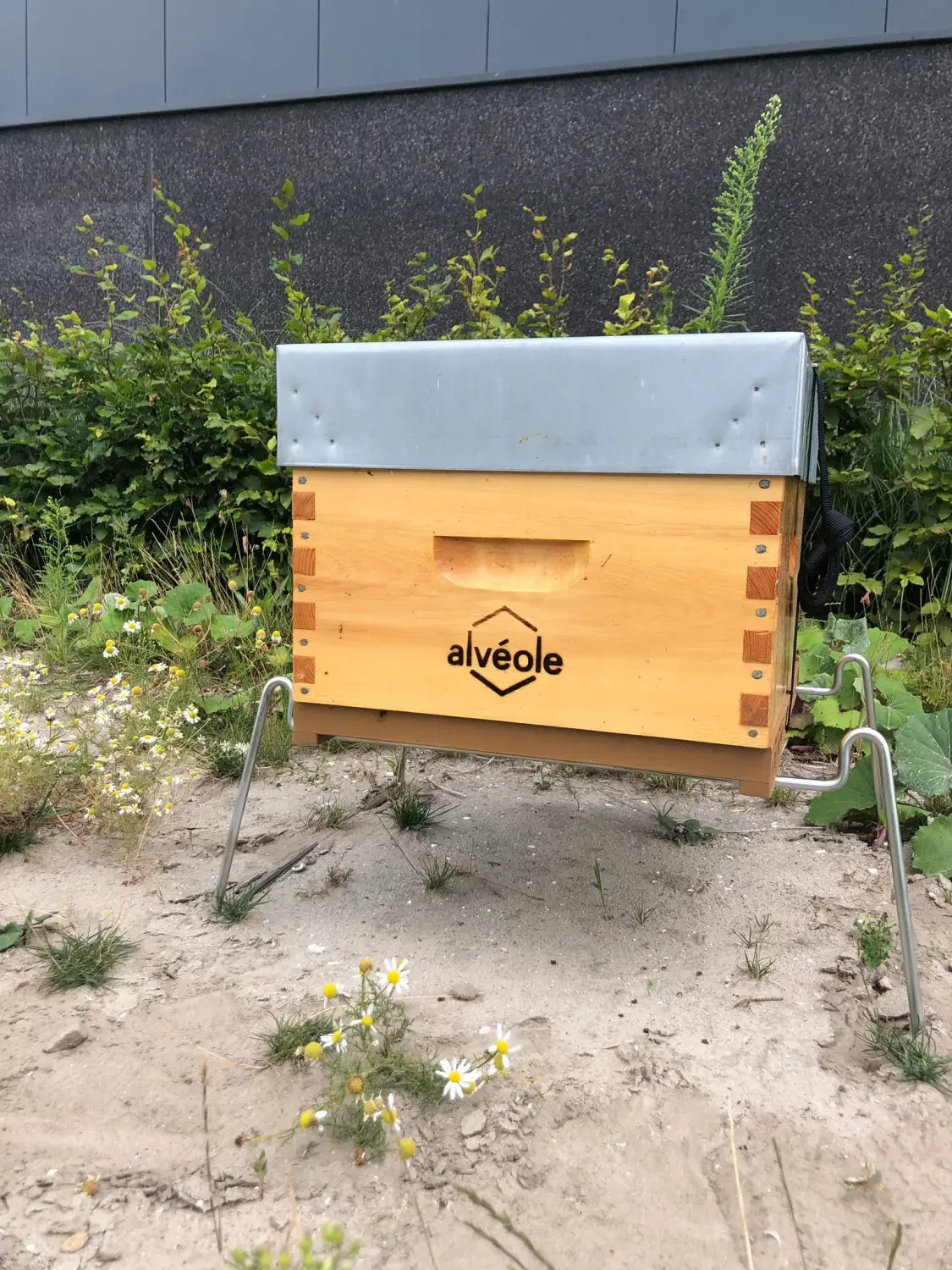 Graag stellen we je voor aan de nieuwe collega’s van