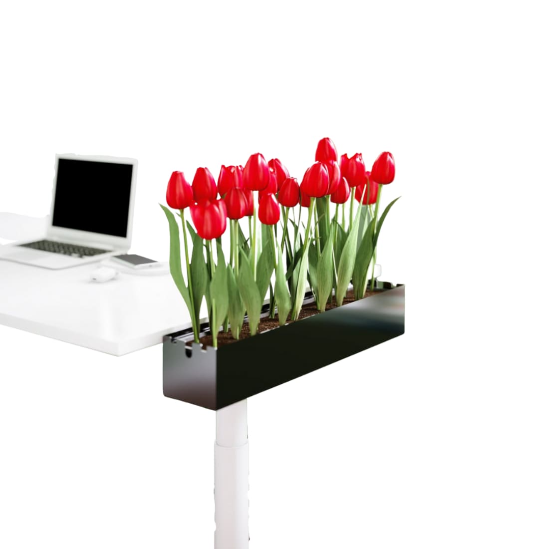 Multibox Large Opberger Inclusief plantenbak 10 x60 x12 cm 